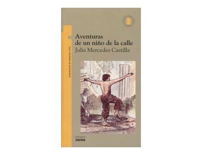 aventuras-de-un-nino-de-la-calle-2-9789580409458