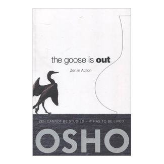 the-goose-is-out-2-9780983640028