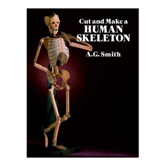 cut-and-make-a-human-skeleton-8-9780486261249