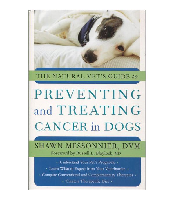 how can you treat stomach cancer in dogs