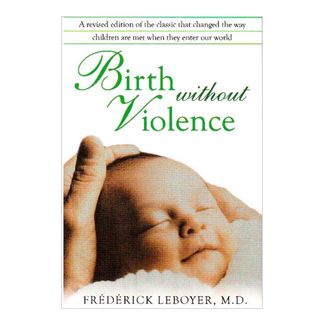 birth-without-violence-9781594772979