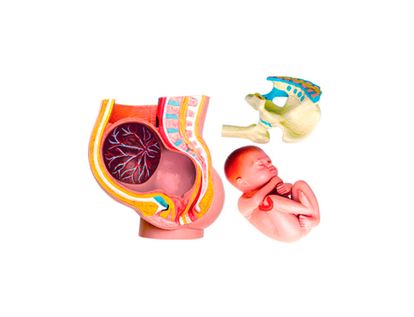 plastilina play doh panamericana