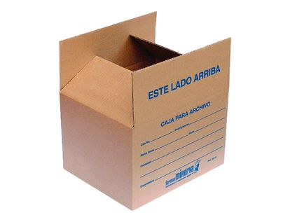 caja-para-archivo-inmovilizado-minerva-3514-1-7702124450206
