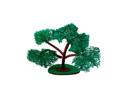 arbol-de-estropajo-mediano-1-7707242195701