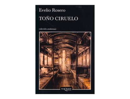 tono-ciruelo-2-9789584257598