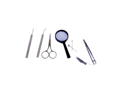 estuche-plastico-para-diseccion-x-11-piezas-96948