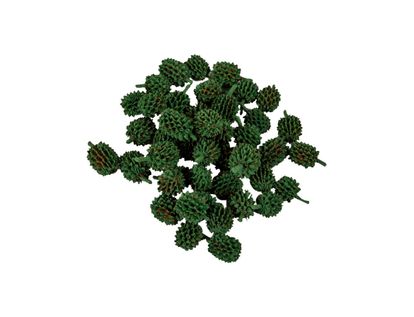 arbol-de-pino-color-verde-para-maqueta-paquete--7709990346893