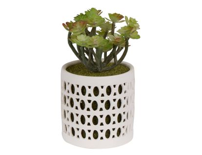 planta-artificial-carnosa-en-matera-redonda-14-cm-7701016312660