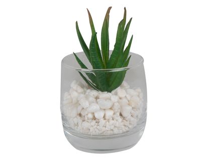 planta-artificial-carnosa-en-base-de-vidrio-7701016312769