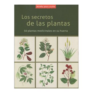 los-secretos-de-las-plantas-9789585700765