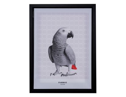 cuadro-decorativo-30x40cm-estampado-loro-7701016442008
