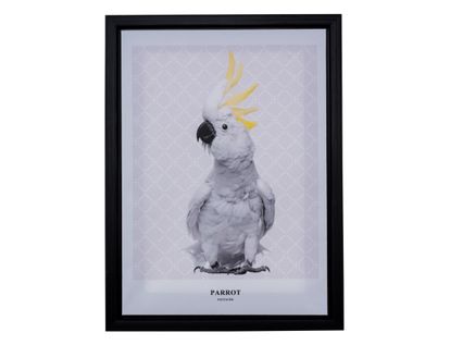 cuadro-decorativo-30x40cm-estampado-cacatua-7701016442015