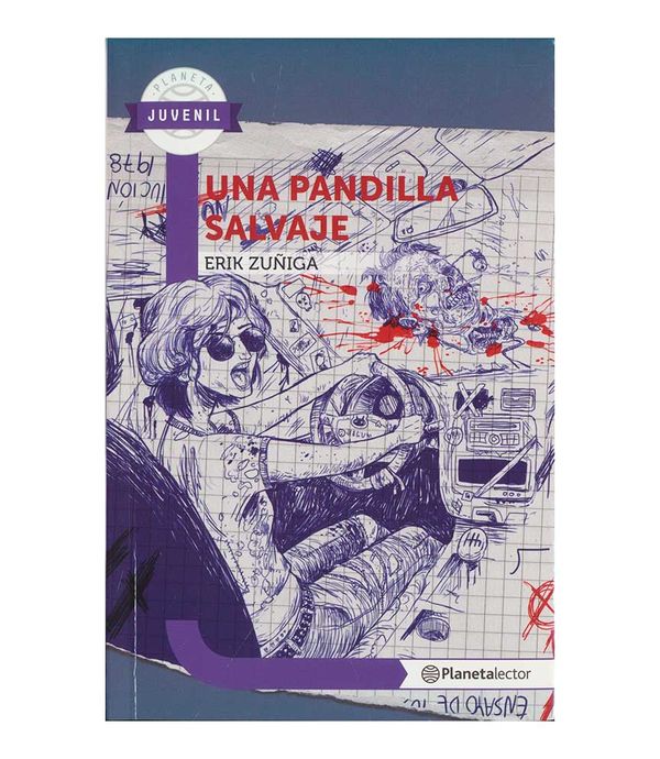 Una Pandilla Salvaje Panamericana