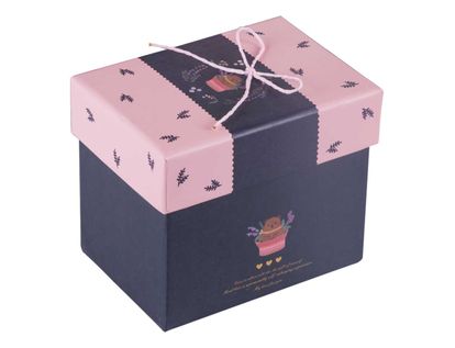 caja-de-regalo-15-cm-x-16-2-cm-x-13-cm-azul-con-tapa-rosada-y-oso-7701016708999