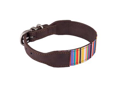 collar-de-perro-3-1-x-44-5-cm-lineas-7701016627054