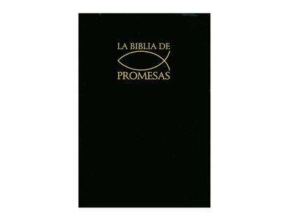 la-biblia-de-promesas-9780789906656