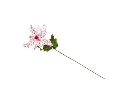 poinsettia-78-cm-blanco-manchas-roja-7701016720359