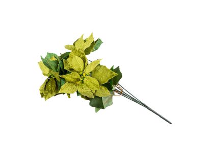 poinsettia-55-cm-verde-manzana-8027458098061