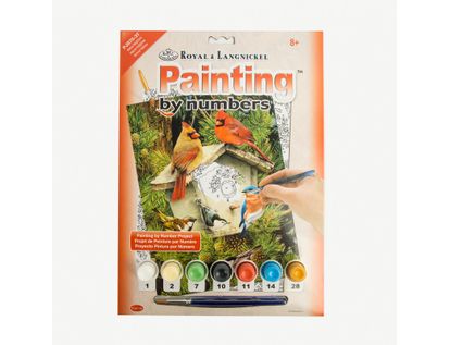 kit-de-arte-pintura-por-numero-10-piezas-diseno-casa-aves-1-90672077172