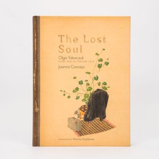 the-lost-soul-9781644210345