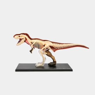 modelo-anatomico-4d-t-rex-x-36-piezas-4894793220136