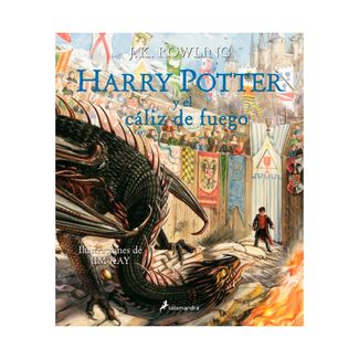 harry-potter-4-caliz-de-fuego-9788498389944