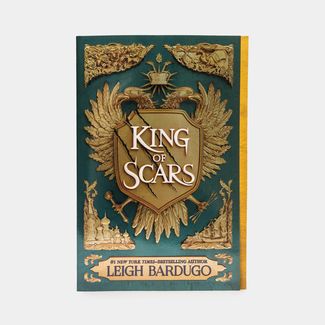 king-of-scars-9781250618979
