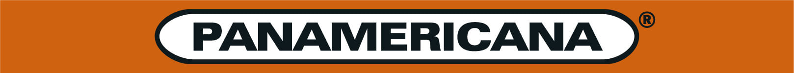 logo Panamericana